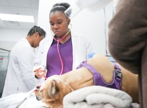 Here’s All You Need to Know About Why Our HBCUs Are So Beloved